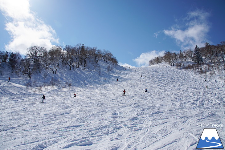 札幌国際スキー場 Welcome back POWDER SNOW !! ～パウダースノー復活～